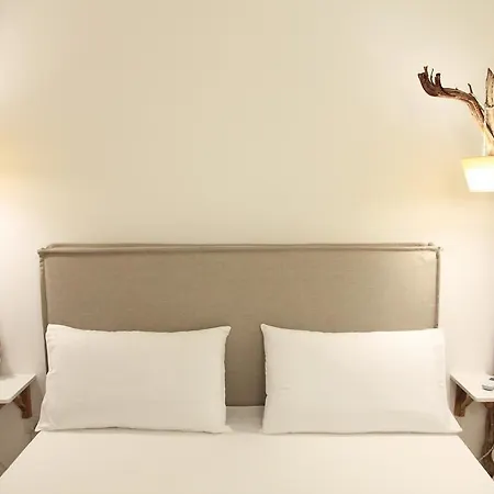 Anciletta * Casarano