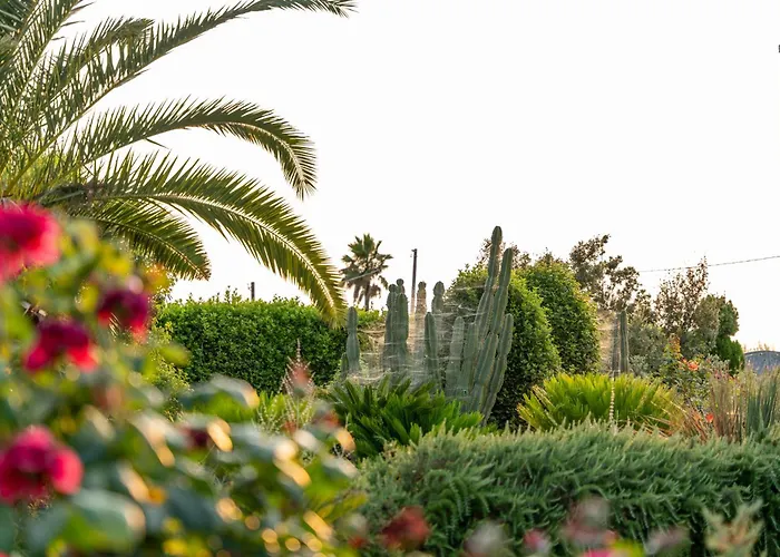 Villa Anciletta Casarano